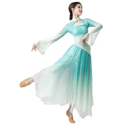 Women's Elegant Belly Dancing Dress Costume Fairy Flowing Chiffon Polyester Digital Print Practice Stage Performance