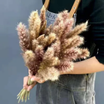 Pampas Nature Dry Flower Decoration Party Wedding HEN Decorative Pcs Color Plants Material Origin Type Preserved Wreaths Real