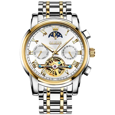 Men's Waterproof Automatic Skeleton Mechanical Dive Watch with Stainless Steel Band Analog Display Hollow out Chronograph