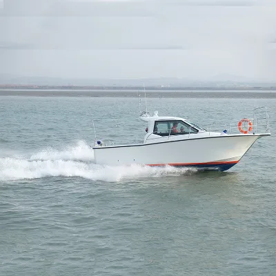 8.6m Aluminum and Fiberglass Small Fishing Boat for Sea and Lake