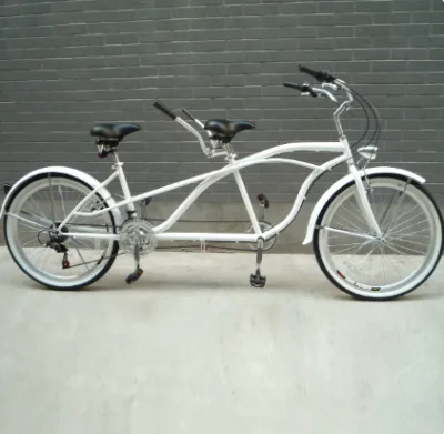 4OEM Retro Double Bike 18 Speed Parent Child Couple Bike