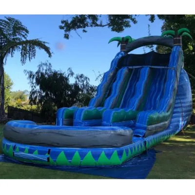 Doul Lanes Water Slides  Swimming Pool Water Slides Inflatable for Kids and Adults Inflatable Slide