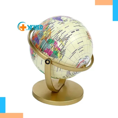 Best Selling PVC Earth Globe Model for School Use Geographical Location Demonstration Sizes 10.6/14.2/20/25cm for Geography