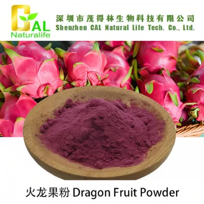 Dragon Fruit Powder food and beverage / drink additive and colouring fruit extract powder china supplier factory price