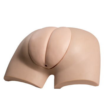 GD/H37 General Doctor Advanced Wearable Artificial Defecation Simulator(medical Model)