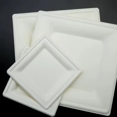 Heavy Duty Disposable Fruit Plate Eco-Friendly Sugarcane Material Wheat Straw Pattern for Home or Restaurant Use