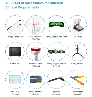 Accessories for Diode Laser Products Class III CN Bare/radial/conical/homorrhoid Fibers Therapy Heads Footswitch