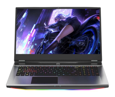 Hot Selling 17.3 Inch Laptop Metal Case Core I7 Laptop Notebook Computer 17 Inch Full HD Core I9 Gaming Laptop Computer