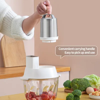 OEM 4L Home Appliances Kitchen Vegetal Slicer Meat Grinder Machine for Kitchen
