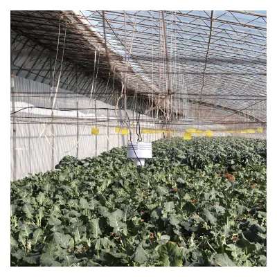 HCD5016/485 Greenhouse Environmental Monitor (Six Parameters) Parameter Measurement Compact Weather Sensor Agriculture Sensors
