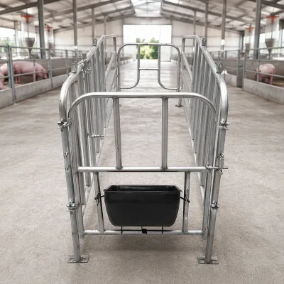 Single Body Floor Standing Sow Farrowing Gestation Crate Stall Animal Husbandry Equipment at Factory Price