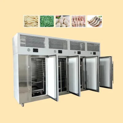 AICN Blast Berry Bean Curd Tofu Fruit Fast Freezing Freezer Iqf Machine