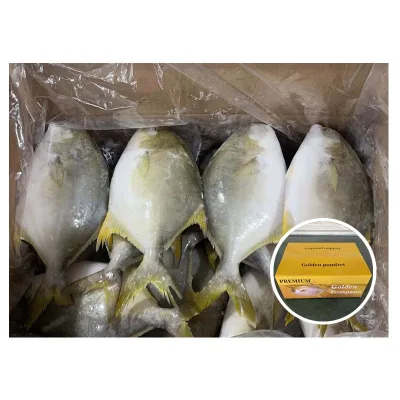 IQF Frozen Whole Golden Pomfret Grade a 300-800g ISO HACCP QS Certified for Malaysia & Singapore Market