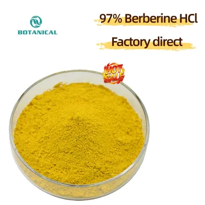Pure Natural Berberine Bulk Powder Free Sample Berberine Hydrochloride