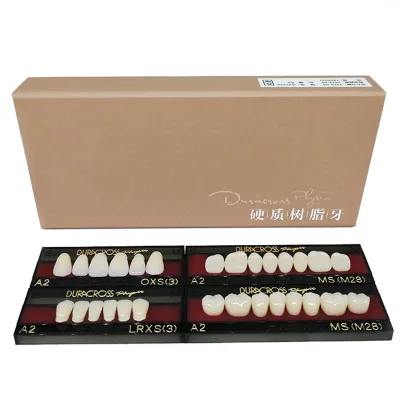 Dental TMPT Materials Artificial Full-mouth Hard Resin Teeth Synthetic Resin Teeth Complete