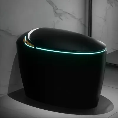 Luxury Smart Toilet Bidet Seat Elongated Egg Shaped Modern Design Auto Open Dual-Flush Adjusted Heated Seat Warm Water Plastic