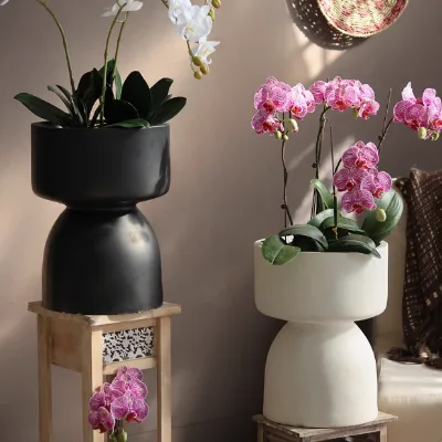 Creative Open Glass Cymbidium Phalaenopsis Trophy Shaped Magnesium Pot