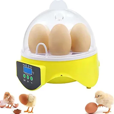 Commercial Best Selling 7 Eggs Chicken Brooder Bird Egg Incubator Hatching Small Machine