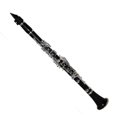 High Grade Professional Ebony Clarinet CL7218S