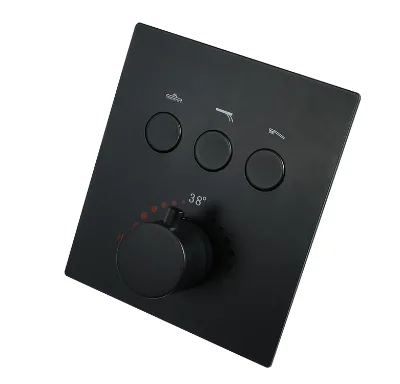 Three Functional Bathroom Shower Thermostatic Valve