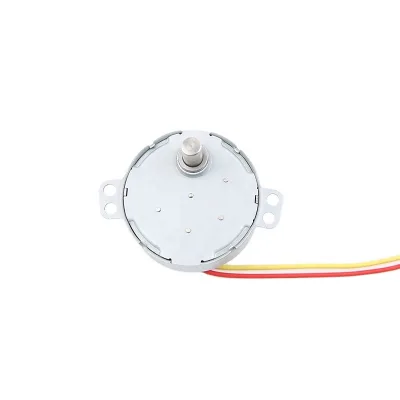 2025 Customized Permanent Magnet Rotary Motor 49TYJ Grill Motor