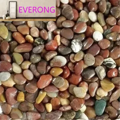 Wholesale White Stone Courtyard Paved with White Pebbles Decorated with White Stone White Stone