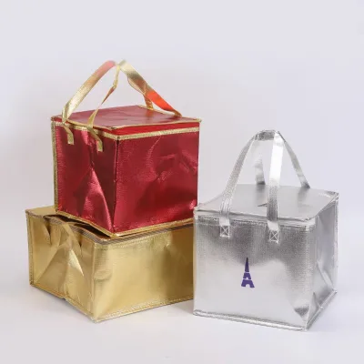 Customized Color Insulated Cooler Bag Zipper Closure Large Capacity Cake Carrier for Bakery Takeout Gift