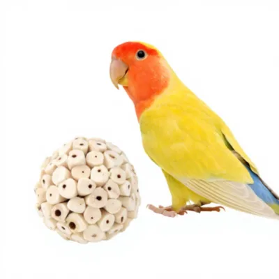 Geshifeng Eco-Friendly Natural Pith Chew Balls Parrot Toy for Budgies Cockatiels-Beak Grinding Teeth Trimming Intelligence