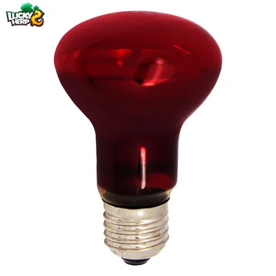 Hot Selling 40W 60W 100W 150W Infrared Heating Lamps Manufacturer's New Products Made of Glass