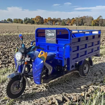 150cc 200cc Gasoline Three Wheel Tricycle, Heavy Duty Cargo Transport Three-wheeled Motorcycle for Farm Delivery