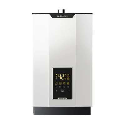 All-Round King Zero-Cold-Water Gas Heater DC Inverter Dual Boost Micro-Flame WiFi Steel Construction 13L Capacity