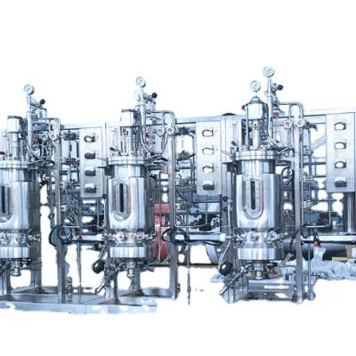 Meets the GMP Production Standard Industry Bioreactor/ Fermentor/ Freeze Bioreactor