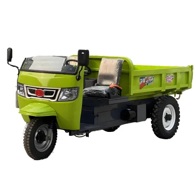 New CE 5000W Powerful Lithium Battery Electric 3 Wheel 500kg Capacity Stainless Steel Construction Farm Manufacturing Plant Home