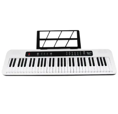 Professional Keyboard Piano Instrument Children's Instrument Beginner Piano 61 Key OEM ODM Custom Language Add LOGO Bulk Price