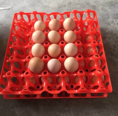 Cheap price storage egg tray plastic egg tray for chicken egg use