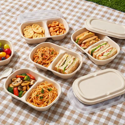 Biodegradable Rectangular Containers Bagasse Dinner Food 850ml Takeaway Box for Restaurant