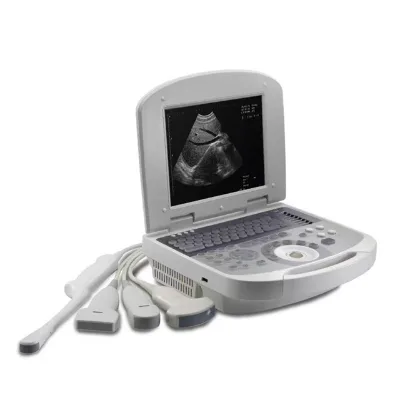 Wholesale Rapid Abdominal Diagnosis in Obstetrics and Gynecology: High-precision Portable 3D Ultrasound Machine