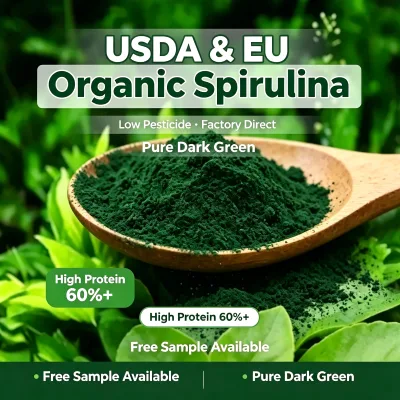 Spirulina Platensis Powder Arthrospira platensis EU USDA Double Organic Certified Natural Complete Protein Functional Foods Bulk
