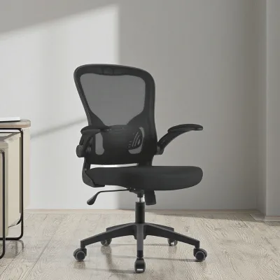 Luxury Ergonomic Office Massage All Mesh Multicolor Customized Home Desk Chair With Adjustable Lumbar Support