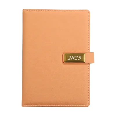 365 Days Diary Planner A5 Notepad Diary Notebook for 2025 Diary