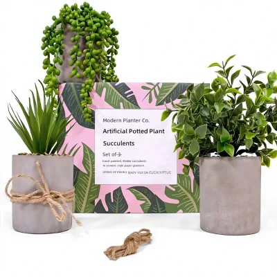 Amazons New Biodegradable Red Pottery Flower Potsresistant Deformation Cross-border Potted Plant Growing Kit for Modern