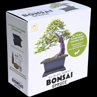 Modern Design Spruce Bonsai Complete Grow Kit