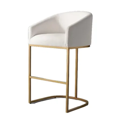BST Stainless Steel Light-Luxury Minimalist Armchair-Style Dining Chair Customizable Upholstery Armrestfor Hotels Restaurants