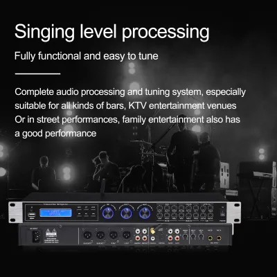 Metal Housing Audio Effects Processor USB Optical Inputs Remote Control Echo Reverb Microphone Anti Feedback Knob Volume
