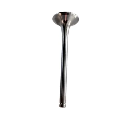 High Quality Exhaust Valve 612600050025 Engine Valve Replacement for Weichai WD615 WP10 D10 Heavy Duty Diesel Truck Engine Parts