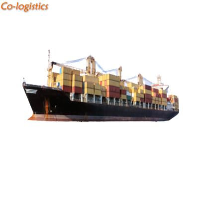 From Shenzhen to Qatar Transportation Broker Shipping Agent Sea Forwarder