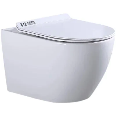 Modern German Household Wall-Mounted Elongated for Small Spaces Suspended Hidden Water Tank Embedded Outlet for Bathroom Use