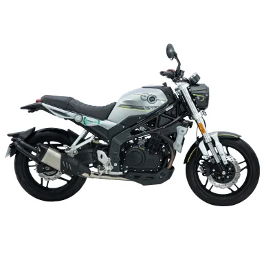 DAYUN 300CC Gasoline Fashionable Motor