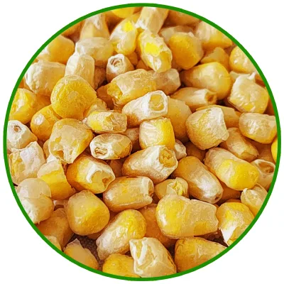 Sweet Vegetable Dried Seed at Cheap Price Sweet Frozen Dried Corn in Bulk Pancake