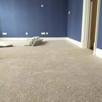 Solid Colour Polypropylene Cut Pile Carpet Wall to Wall Hotel Room Carpet Hotel Bedroom Carpet